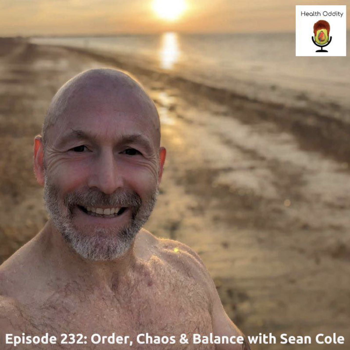 #232 Order, Chaos & Balance with Sean Cole